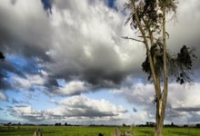 pg游戏官网：决战在6月！国足将在6月5日客战印尼，6月10日主场战巴林.