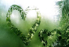 pg游戏官网：杨超声本赛季中超3场打进3球，超过上赛季25场进球数.