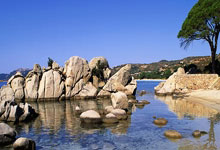 pg游戏官网：时隔两月上线！广州队求贤若渴不谈冤屈，推广自家足校精英免费.